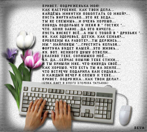 Стих ты в сети и я в сети Стих ты в сети и я в сети